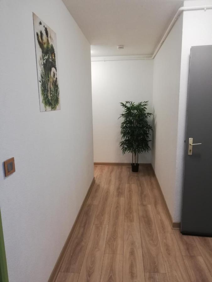 Grand T3 Avec Clim, Parking Et Terrasse Privative - Agen Apartment Exterior photo